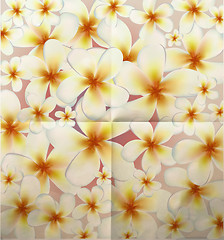 Image showing Vector flowers background íà áóìàæíîì ôîíå