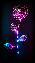 Image showing glowing flower