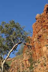 Image showing kings canyon