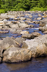 Image showing Wooded stream with many rocks