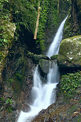 Image showing Deep forest waterfall 