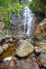 Image showing Deep forest waterfall 