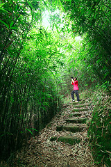 Image showing photographer taking photo in bamboo path 