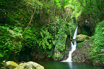 Image showing Nature Scenery 