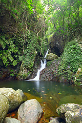 Image showing Deep forest waterfall 