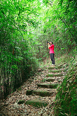 Image showing photographer taking photo in bamboo path 