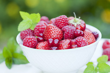 Image showing berries