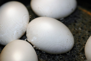 Image showing Boiling egg