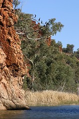 Image showing pond in kings canyon