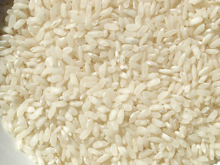 Image showing Rice picture