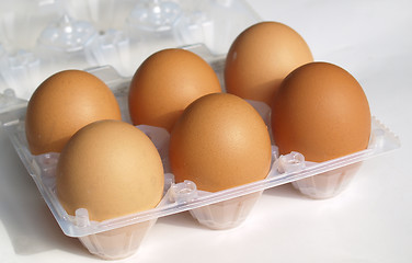 Image showing Eggs picture