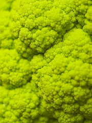 Image showing Cauliflower