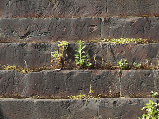 Image showing Roman wall