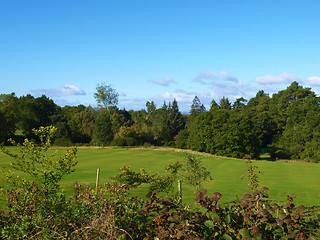 Image showing Cardross hill