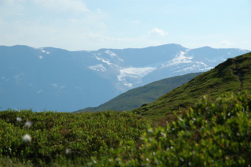 Image showing Blue mountain