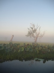 Image showing morning fog