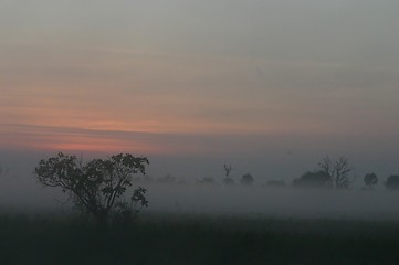 Image showing morning fog