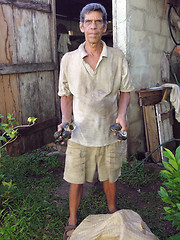 Image showing Corn Island Nicaragua man with fresh caught snails wilks