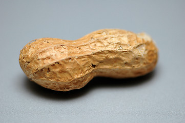 Image showing Peanuts