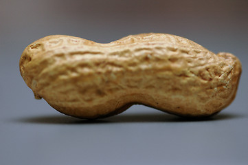 Image showing Peanuts