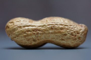 Image showing Peanuts