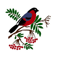 Image showing vector silhouette of the bullfinch on white background