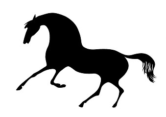 Image showing vector silhouette horse on white background