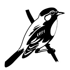 Image showing vector silhouette of the bird on white background