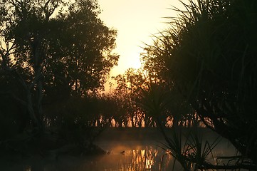 Image showing sunrise at kakadoo np