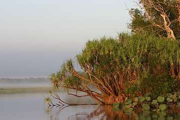 Image showing foggy morning at lake