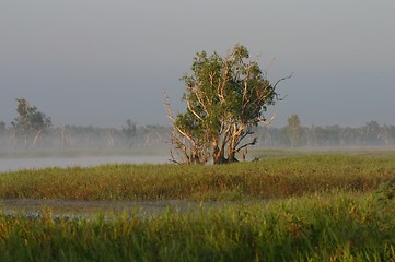 Image showing foggy morning at river