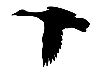 Image showing vector silhouette flying ducks on white background