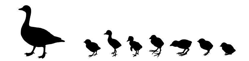Image showing vector silhouette duck with nestling on white background