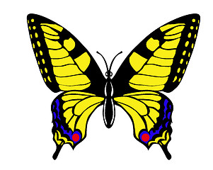 Image showing vector drawing butterfly swallowtail on white background