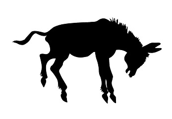 Image showing vector silhouette stubborn ass on white background