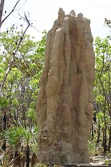 Image showing termite hill