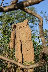 Image showing termite hill