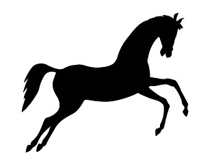 Image showing vector silhouette on white background