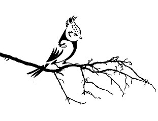 Image showing vector silhouette of the bird on branch