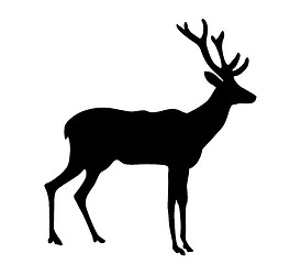 Image showing vector silhouette deer on white background 