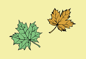 Image showing vector drawing