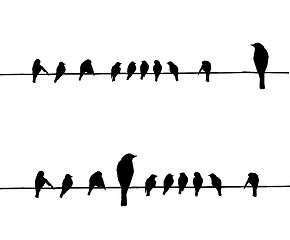 Image showing vector silhouettes of the birds on wire