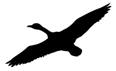 Image showing vector silhouette flying ducks on white background