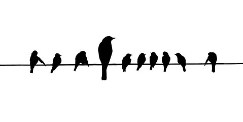 Image showing vector silhouettes of the birds on wire