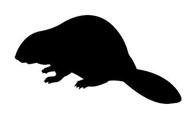 Image showing vector silhouette beaver on white background