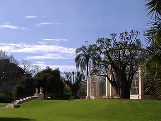 Image showing adelaide botanic garden