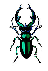 Image showing vector silhouette of the bug on white background
