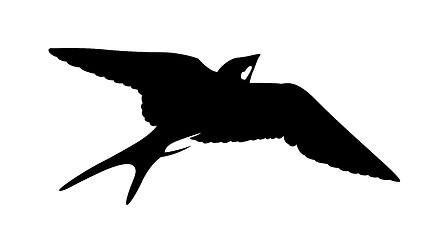 Image showing vector silhouette of the swallow on white background