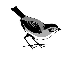 Image showing vector silhouette of the bird on white background