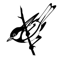 Image showing vector silhouette of the bird on white background